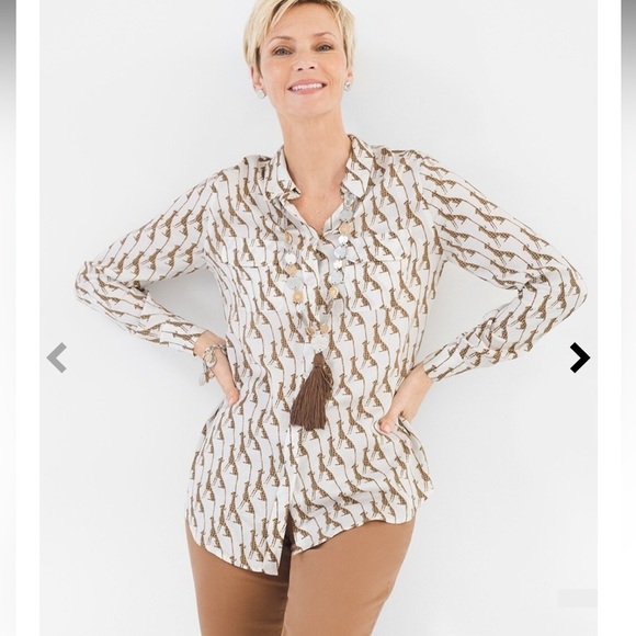 Chicos Whimsy Cheetah‎ Blouse Shirt - Picture 1 of 16